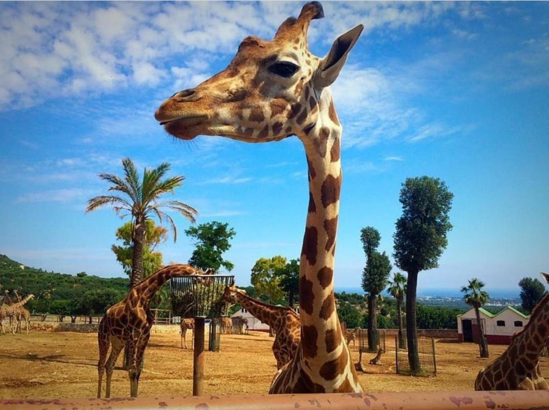 Nel Cuore Del Faso Appartamento Fasano Esterno foto